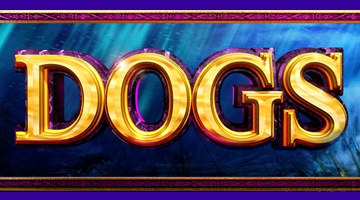 B connected slot search