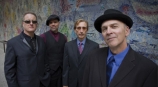 The Chicago Kingsnakes