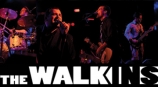 The Walk-ins