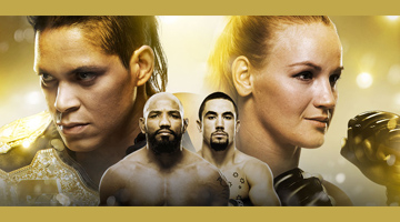UFC 213