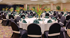Meeting Facilities