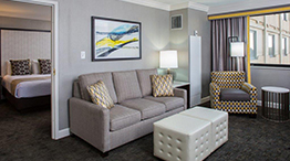 Luxury Suite