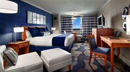 Deluxe Room With a View