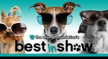 Best In Show