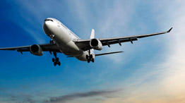 Tour and Travel