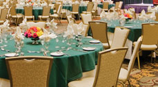 Meeting Facilities