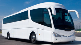 Motorcoach Groups