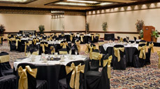 Meeting Facilities