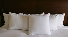 Room Offers & Packages
