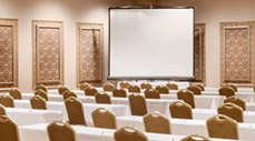 Meeting Services