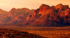 Area Attractions