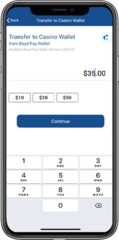 Enter or select amount