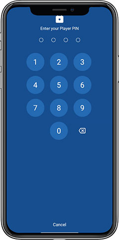 Enter PIN