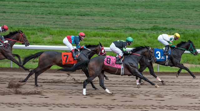 Watch the Best Thoroughbred Racing | Belterra Park Gaming