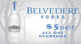 Belvedere Vodka Shot Special
