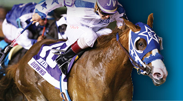 Quarter Horse Racing Resumes