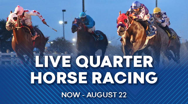 delta downs live racing