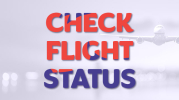 2023 - August Check Flight Status  #7291268